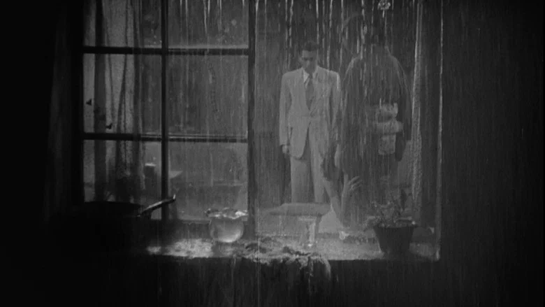Stray Dog screenshot 4