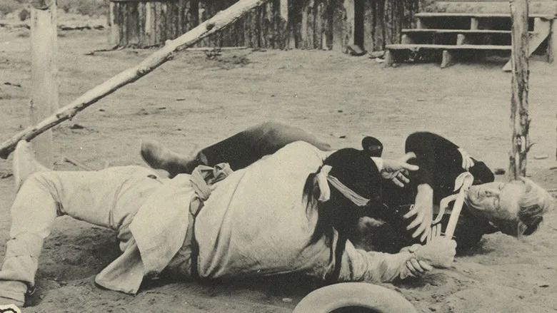 Fort Courageous screenshot 1