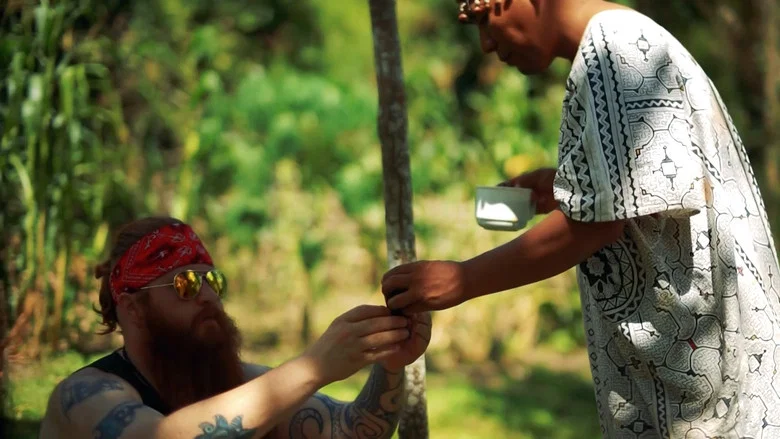Soldiers of the Vine screenshot 1