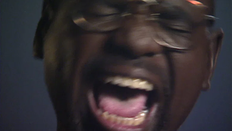 Black Is… Black Ain’t screenshot 1