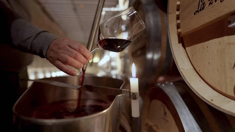 Rioja: The Land of a Thousand Wines screenshot 4