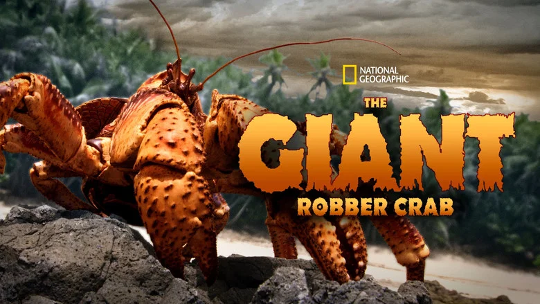 The Giant Robber Crab screenshot 2
