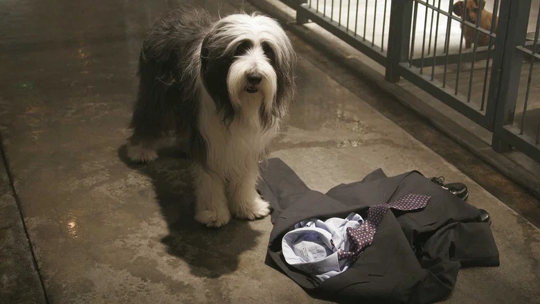 The Shaggy Dog screenshot 4
