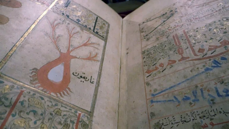 Forgotten Heritage of Arab Medicine screenshot 4