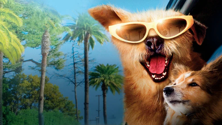 Dr. Dolittle: Million Dollar Mutts screenshot 4