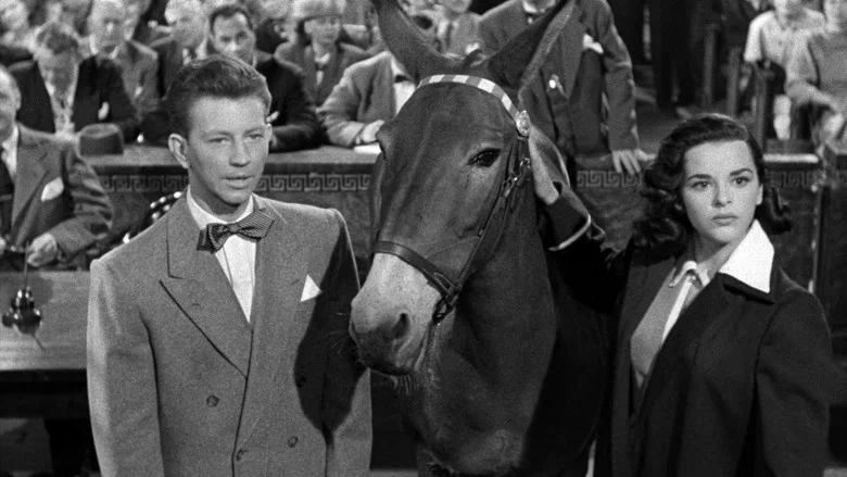 Francis Covers the Big Town screenshot 8