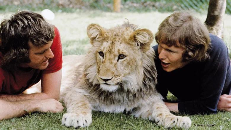 A Lion Called Christian screenshot 1