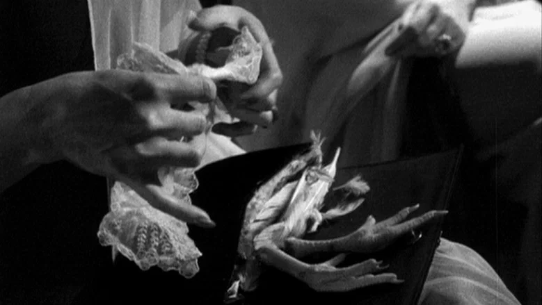 The Exterminating Angel screenshot 4