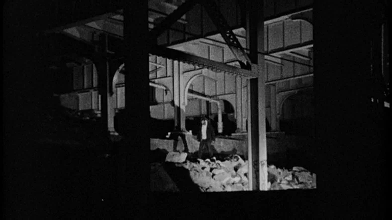 Dark Days screenshot 1