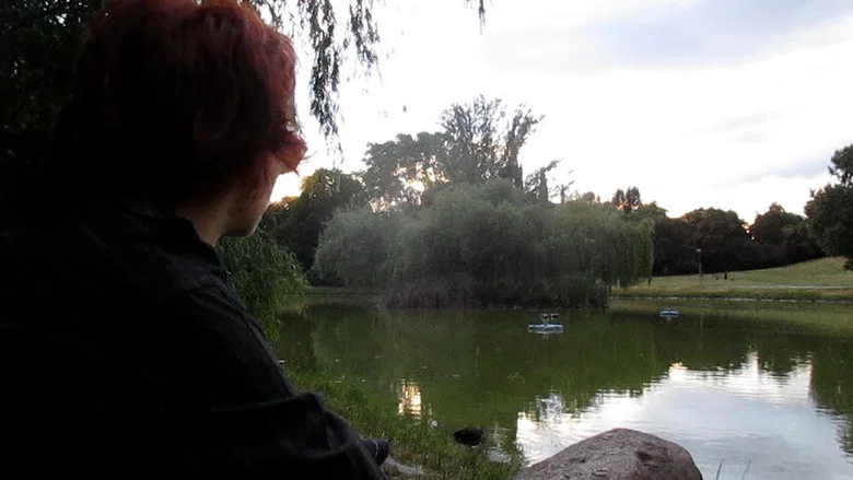 Les oiseaux de l'Est screenshot 5