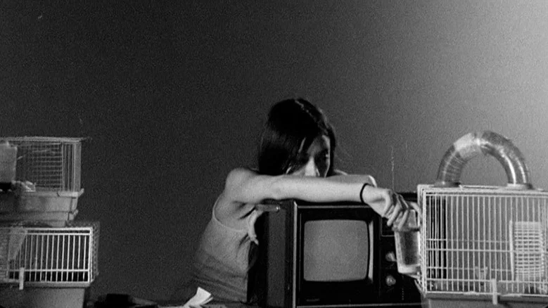 Letters to Paul Morrissey screenshot 1