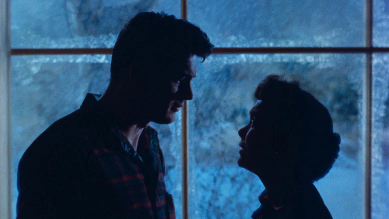 All That Heaven Allows screenshot 2