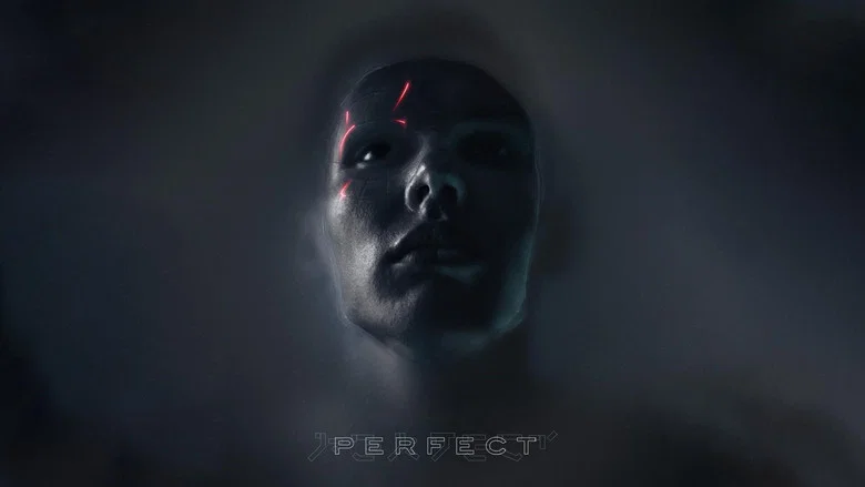 Perfect screenshot 6