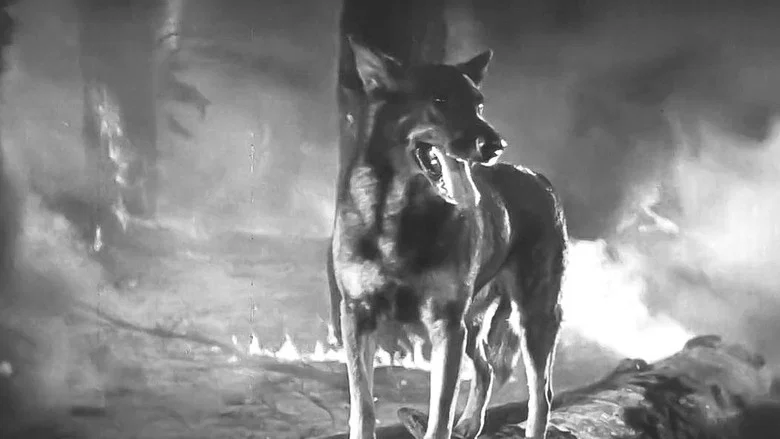 Clash of the Wolves screenshot 3