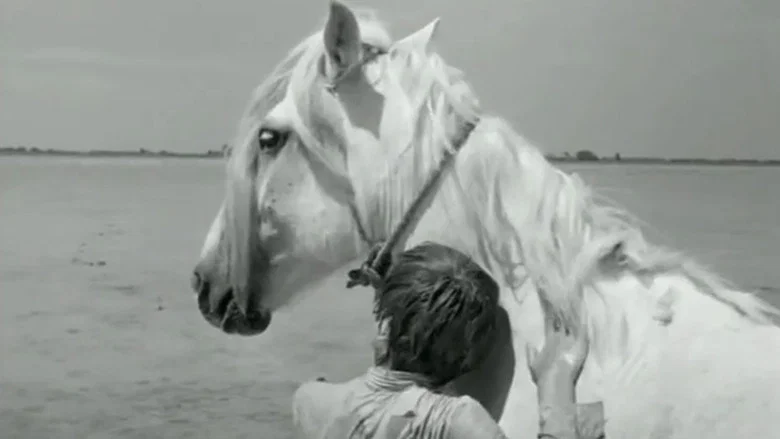 White Mane screenshot 1