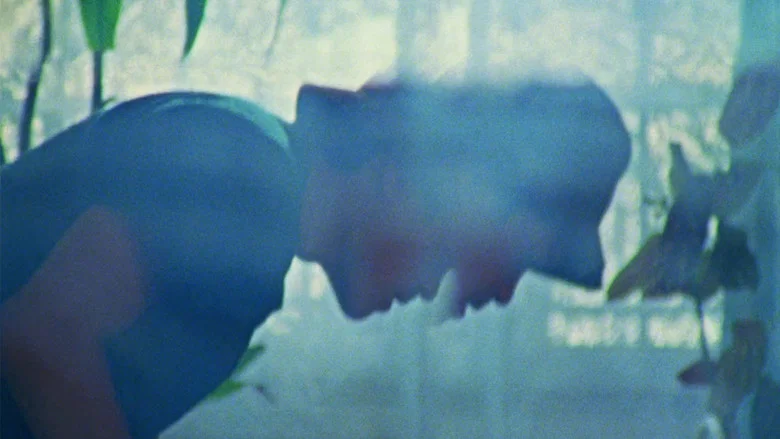 Fidel screenshot 1