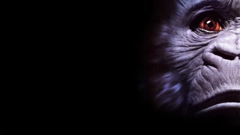 Congo screenshot 1