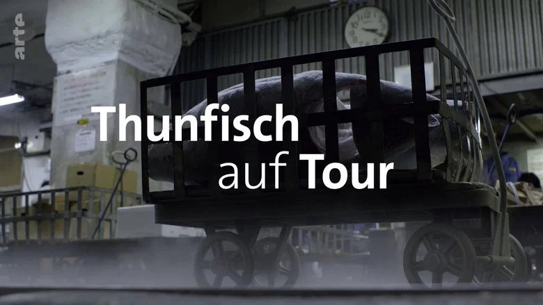 Tuna on Tour screenshot 1
