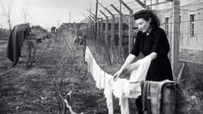 Les survivants, l'impossible départ après la Shoah screenshot 2