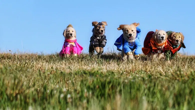 Super Buddies screenshot 1