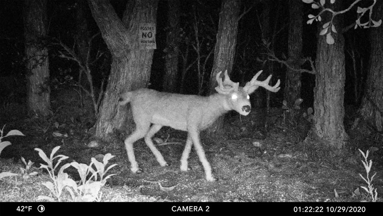 Posted No Hunting screenshot 1