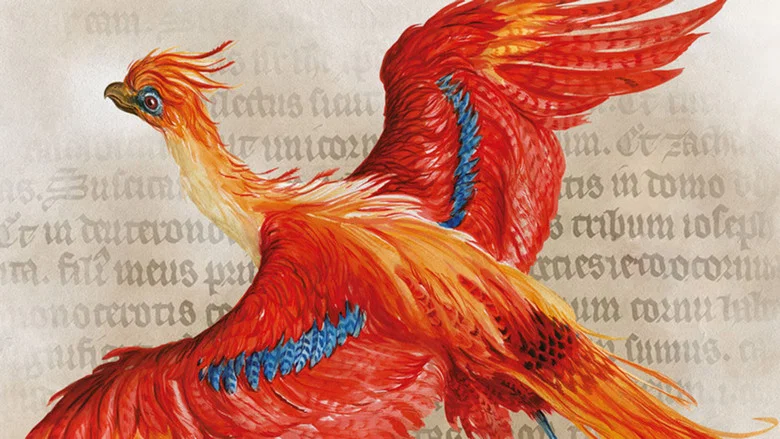 Harry Potter: A History Of Magic screenshot 5