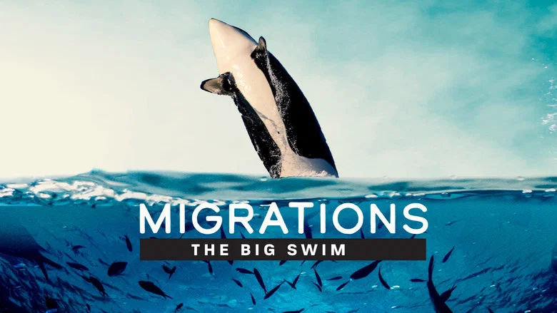 Migrations: The Big Swim screenshot 2