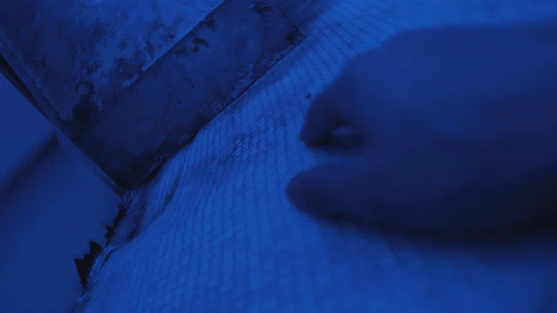A Night to Remember screenshot 1