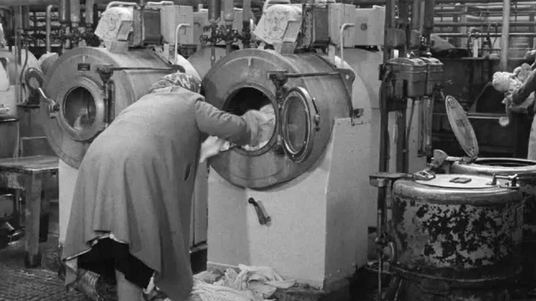 Public wash-house Liverpool screenshot 1