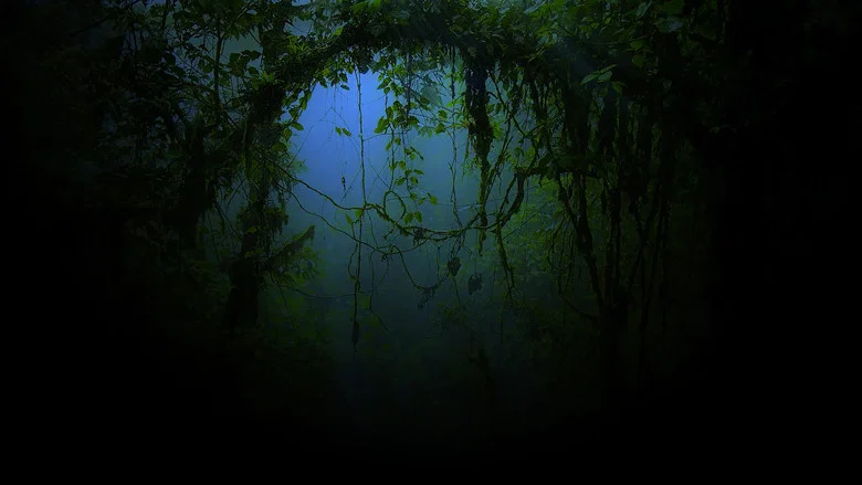 From Shock to Awe screenshot 1