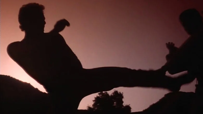 Savate screenshot 1