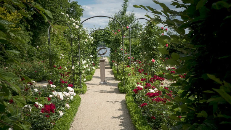 Painting the Modern Garden: Monet to Matisse screenshot 3