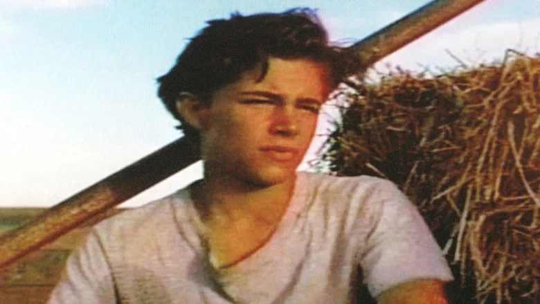 Shimmer screenshot 1