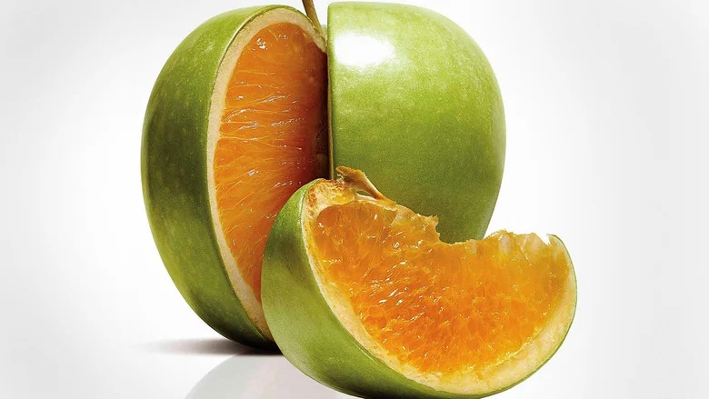 Freakonomics screenshot 6