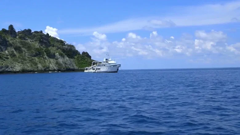 Shark Land: Welcome to Cocos Island screenshot 2