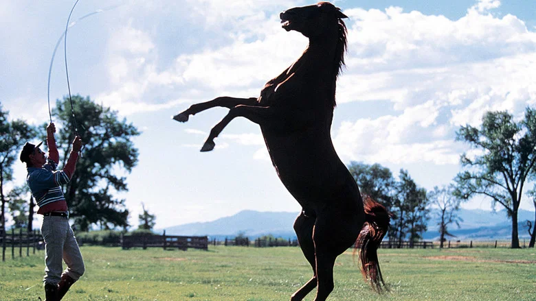 The Horse Whisperer screenshot 6