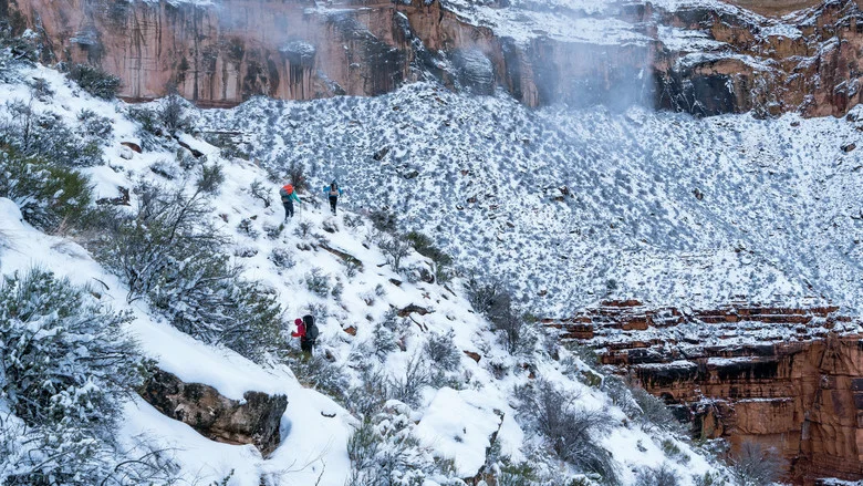 Into the Grand Canyon screenshot 6