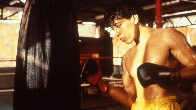 Dreams of Glory, A Boxer's Story screenshot 1
