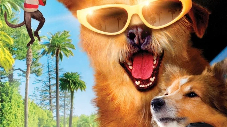 Dr. Dolittle: Million Dollar Mutts screenshot 3