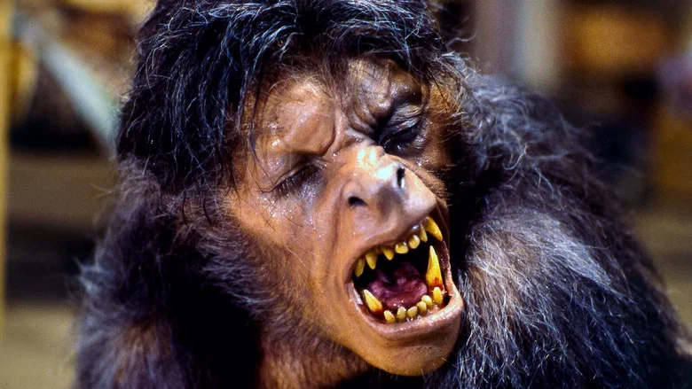 An American Werewolf in London screenshot 3