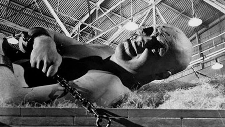 War of the Colossal Beast screenshot 6