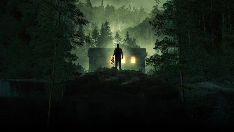 Stranger in the Woods screenshot 2