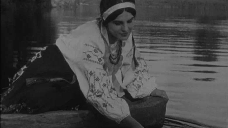 Zvenigora screenshot 1