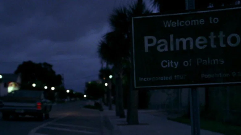 Palmetto screenshot 7