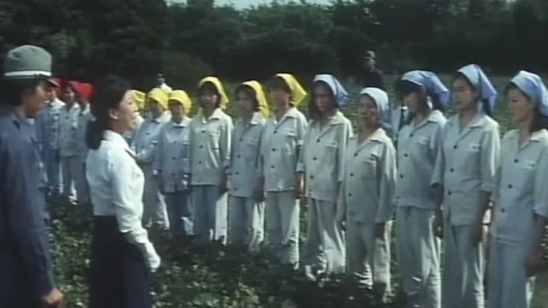Women in Prison screenshot 6