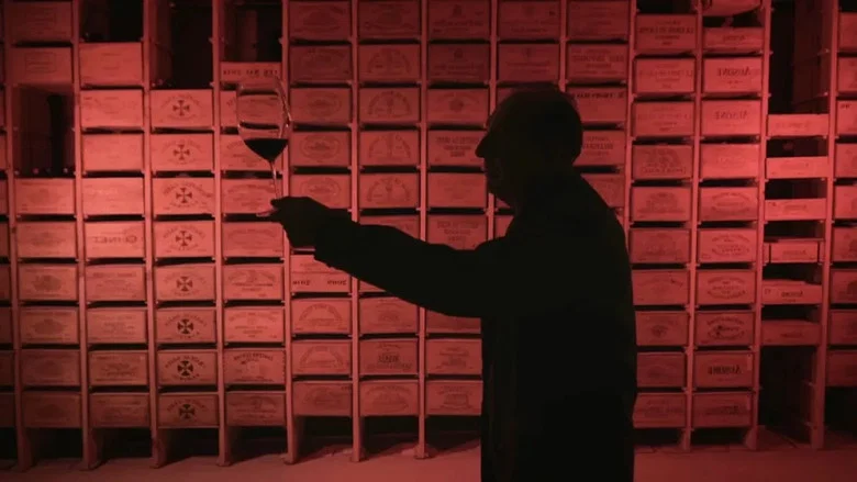 L'Incroyable Trésor de Michel Chasseuil screenshot 6