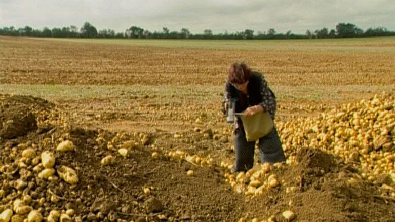 The Gleaners and I screenshot 6