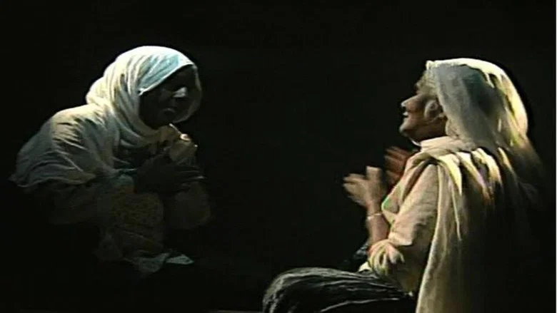 Born to Sing screenshot 1