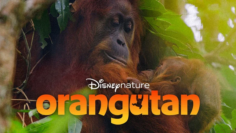 Orangutan screenshot 1