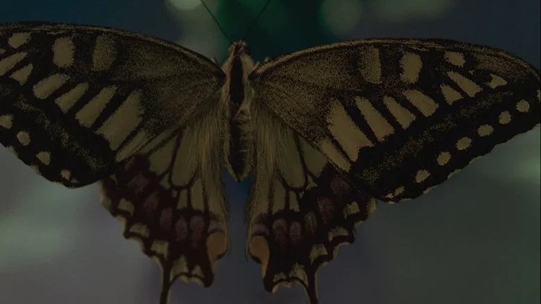Swallowtail Butterfly screenshot 3
